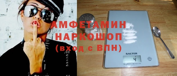амф Пестово