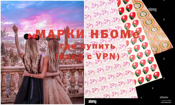 прущий лед Богданович
