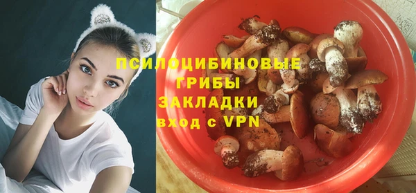 прущий лед Богданович