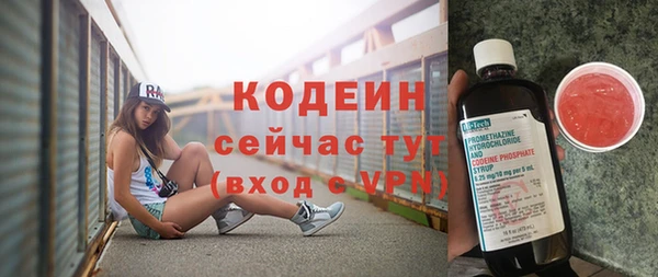 амф Пестово